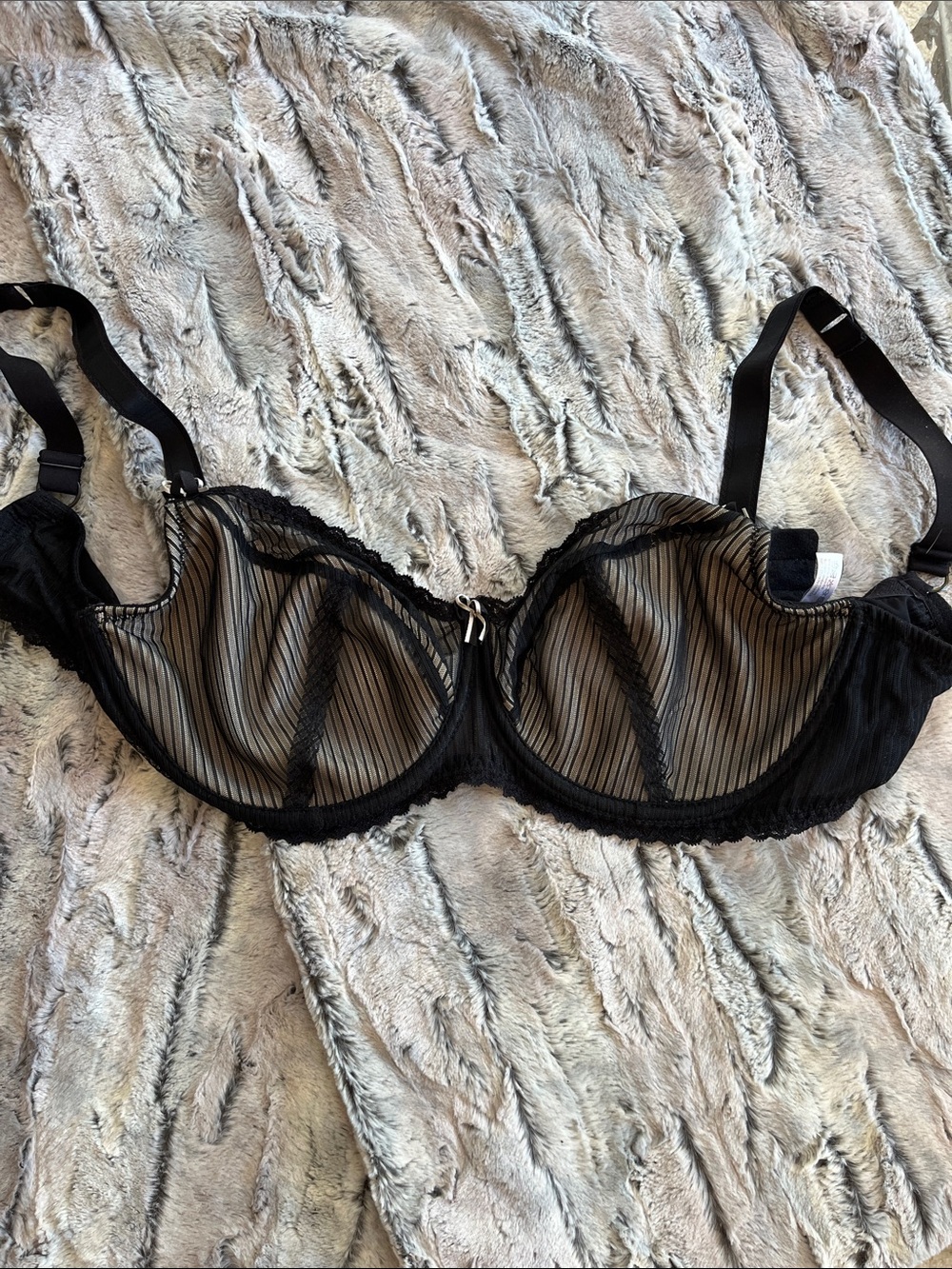 Sheer Black Pinstripe Underwire Bra with Scalloped Trim